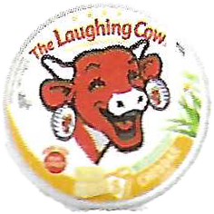 Laughing Cow Cheddar