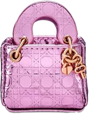 Pink Handbag