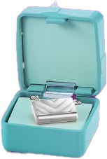 Necklace In Blue Case