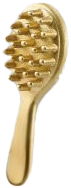 Hair Brush, Gold