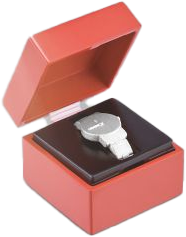 Watch in Red Box