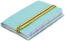 Journal, Blue