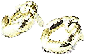 Earrings (gold & black)