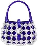 Caged Handbag