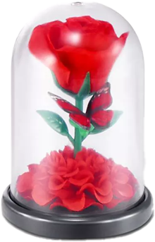 Rose in Glass Dome