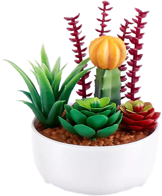 Succulent Bowl