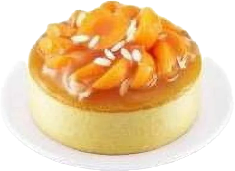 Almond and Apricot Cheesecake