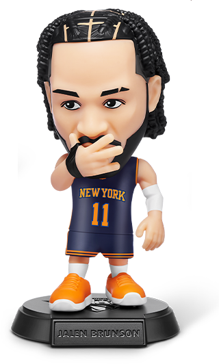 Jalen Brunson (special pose)