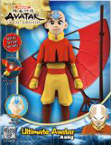 Avatar the Last Airbender Aang