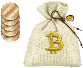 Bitcoin Pouch
