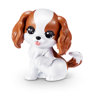 Dog, Cavalier