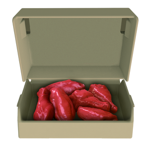 Pizza Hut Traditional Wings