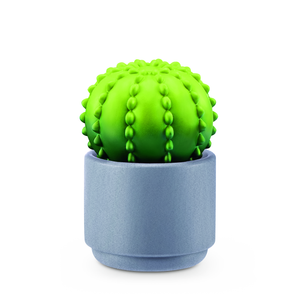 Barrel Cactus