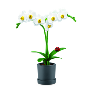 White Orchids