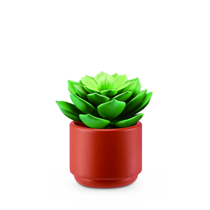 Rosette Succulent (Green)
