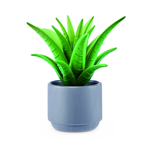 Cactus Pot (Round)
