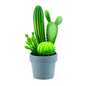 Succulent Pot