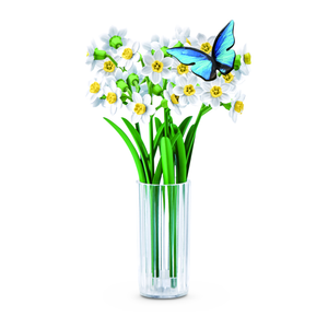White Daisies