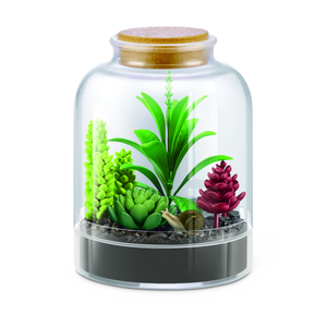 Terrarium