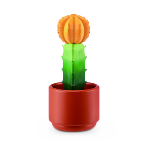 Moon Cactus (Grafted Cactus)