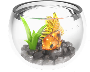 Fish Bowl