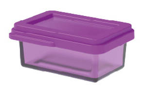 Food Container