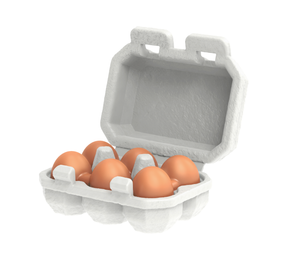 Egg Carton