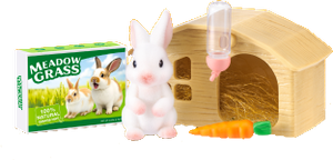 Bunny