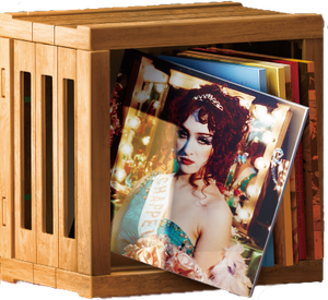 Vinyl Storage Crate