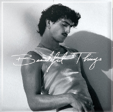 Beautiful Things (Benson Boone)