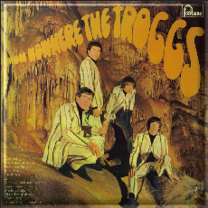 Wild Thing (The Troggs)