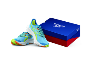 Reebok blue and green shoes