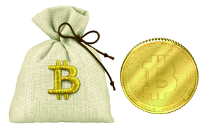 Bitcoin Pouch